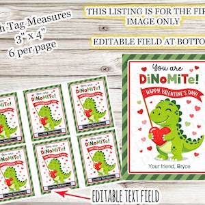 May include: Valentine's Day gift tags with a green dinosaur holding a red heart and a banner that reads "Happy Valentine's Day!". The tags measure 3" x 4" and have an editable text field. The text "You are DiNoMiTe!" is displayed.