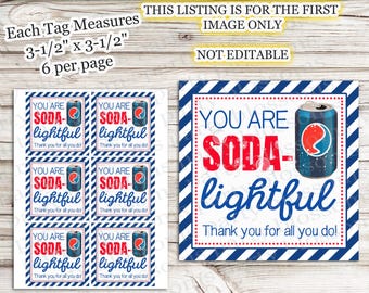 DOWNLOAD INSTANTÂNEO Você é Soda Lightful Incrível Obrigado por tudo que você faz Apreciação Tag PTO Professor Funcionário Equipe Professor Equipe Refrigerante