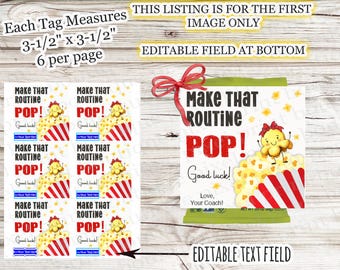 May include: A sheet of six tags, each 3.5 x 3.5 inches, with a popcorn theme. The tags read "Make That Routine POP!" with a cartoon popcorn character. The image also shows a single tag with a red bow and the same design.