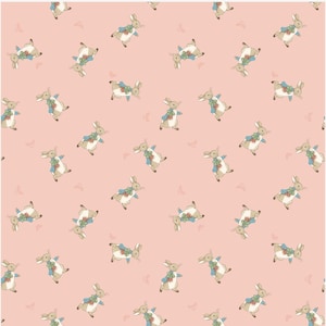 The Tale of PETER RABBIT /Peter Toss /Coral /Beatrix Potter /Riley Blake Designs /C14702 - Coral /By the Half Yard /By the Yard /continuous