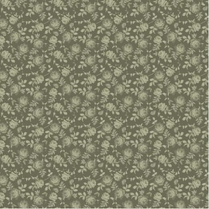 Anne of Green Gables Tonal Fabric /Riley Blake Designs /C16125-GREEN/BTY
