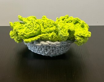 Crochet Succulent Coaster Set