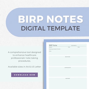 BIRP Notes Digital Template, Effective Note-taking Tool for Therapists, BIRP Session Notes, Client Notes in BIRP Format, Therapy Notes TET06