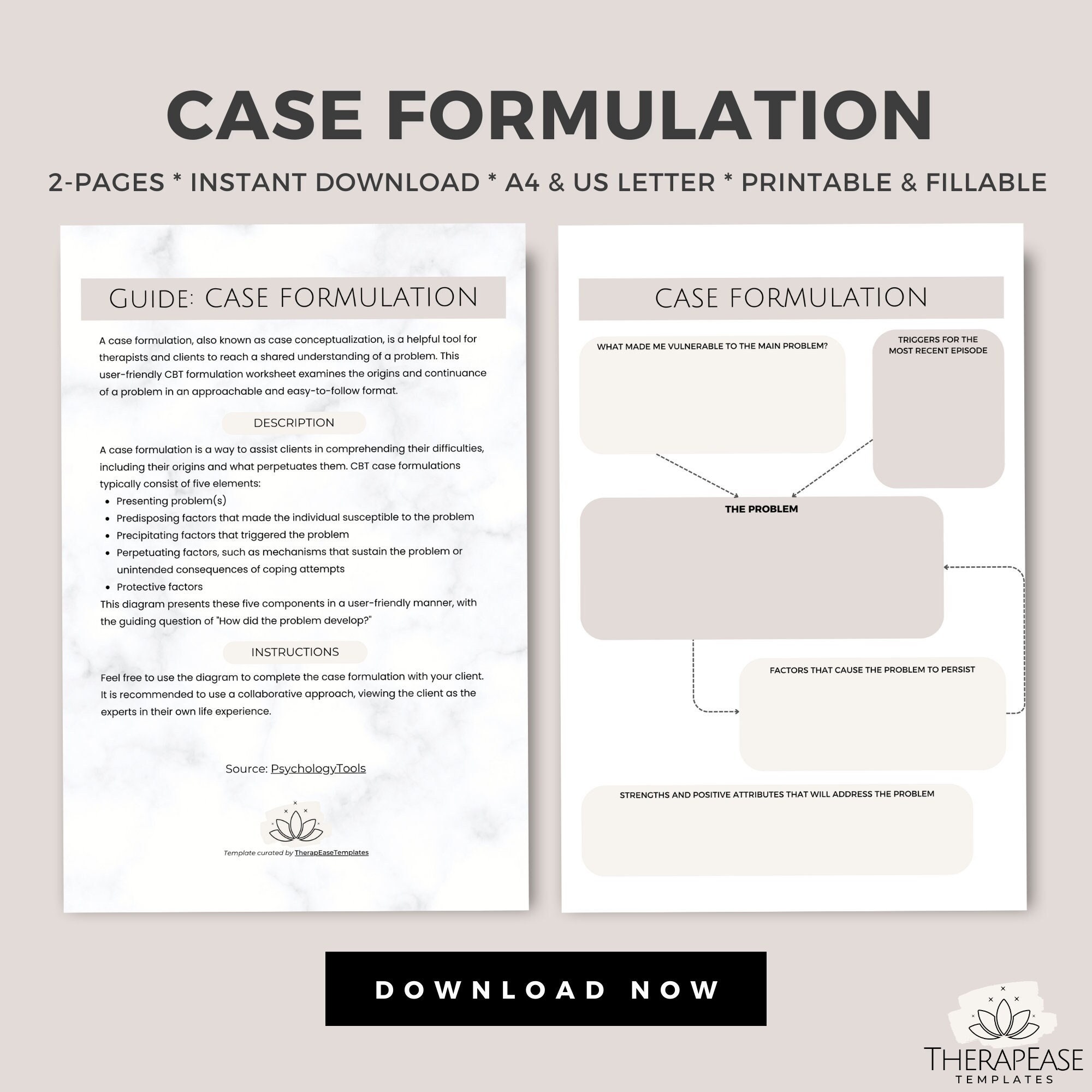 Case Formulation Template Client Map Template Client Notes Therapy case-formulation-template-client-map-template-client-notes-therapy