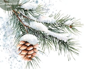 May include: A watercolor painting of a pine branch with a pine cone. The branch is covered in snow and there are snowflakes in the background.