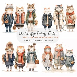 Verrückte Katzen Clipart PNG Bundle 15 hochwertige JPG, Lustiger Freund Katzen, digitaler Download, Kartenherstellung, Mixed Media, digitales Papierhandwerk | 127