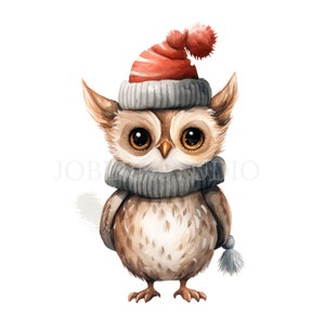 Noël Animal Clipart PNG, Bundle 15 JPG de haute qualité, Téléchargement numérique, Autocollants imprimables, Fabrication de cartes, Médias mixtes, Artisanat en papier numérique| 40