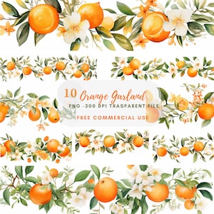 Pacchetto di clipart Orange Garland 10 PNG di alta qualità, bordo di frutta acquerello, ghirlanda di limone, download digitale, creazione di carte, artigianato in carta digitale/ 184