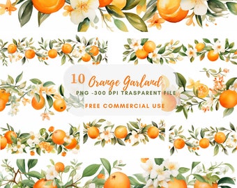Orange Garland Clipart Bundle 10 High Quality PNG,Watercolor Fruit Border,Wreath Lemon,Digital Download,Card Making,Digital Paper Craft| 184