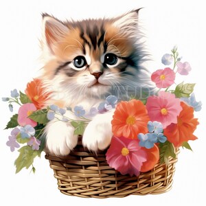 Chat et fleur Clipart PNG Bundle 13 haute qualité JPG, aquarelle chats drôles, téléchargement numérique, autocollants imprimables, créations numériques en papier | 443