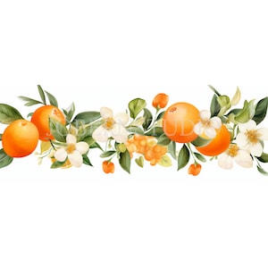 Pacchetto di clipart Orange Garland 10 PNG di alta qualità, bordo di frutta acquerello, ghirlanda di limone, download digitale, creazione di carte, artigianato in carta digitale/ 184
