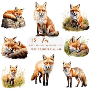 Renard Clipart PNG, lot de 15 PNG haute qualité, renard aquarelle en téléchargement numérique, autocollants imprimables, fabrication de cartes, création numérique en papier | 452