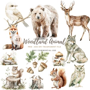 Clipart di animali del bosco ad acquerello / Pacchetto di 41 PNG di alta qualità / Adesivi stampabili di uccelli e lupi scoiattoli Goodnotes / Download digitale / 831