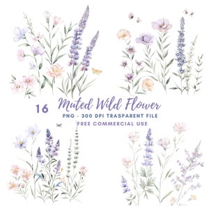Muted Wild Flower Border Clipart Bundle 16 hochwertige PNG, Aquarell Muted Floral, digitale Aufkleber, digitaler Download, digitales Papier | 479