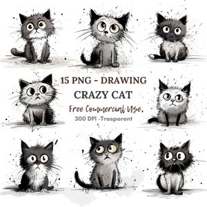 Crazy Cat Clipart PNG Bundle 15 JPG di alta qualità, Divertenti gatti neri scontrosi, Download digitale, Creazione di carte, Supporti misti, Mestiere di carta digitale / 101