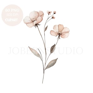 Pacote de Cliparts de Flores de Papoula Selvagem com 60 PNGs de Alta Qualidade | Aquarela Floral Bege Seco | Adesivos para Imprimir Goodnotes | Download Digital | 806