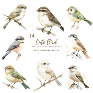 鳥のクリップアートPNGバンドル14高品質PNG | 水彩ニュートラルカラースズメ | 印刷可能なステッカーGoodnotes | デジタルダウンロード | 828