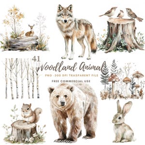 Aquarel bos dieren clipart | Bundel 41: hoge kwaliteit png-bestand | Wolf eekhoorn vogel afdrukbare stickers Goodnotes | Digitale download | 831