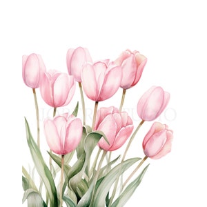 Tulips Flower Border Clipart Bundle 12 High Quality PNG, Watercolor Floral Garland, Digital Download,Card Making,Digital Paper Craft| 301