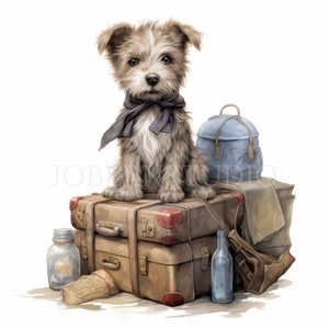 Paquete de 15 imágenes prediseñadas de perros locos en formato PNG de alta calidad, perros divertidos que viajan, descarga digital, creación de tarjetas, técnicas mixtas, manualidades con papel digital/125