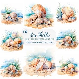 Sea Shell Clipart PNG, paquete 10 JPG de alta calidad, conchas de acuarela, pegatina, descarga digital, fabricación de tarjetas, medios mixtos, artesanía de papel digital / 353