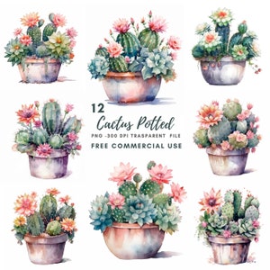 Cactus plantes Clipart Bundle 12 PNG haute qualité, aquarelle plante succulente, autocollants numériques, fabrication de cartes, créations artisanales en papier numérique | 346