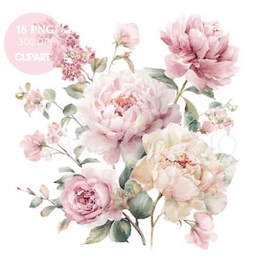 May include: Watercolor floral clipart featuring a bouquet of pink peonies, roses, and other flowers with green leaves. The image includes the text "18 PNG 300 DPI CLIPART" in a pink circle.