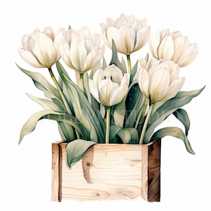 Tulips Flower Clipart Bundle 10 High Quality PNG,Watercolor White Floral box, Stickers,Digital Download,Card Making,Digital Paper Craft|221