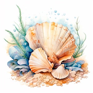 Sea Shell Clipart PNG, paquete 10 JPG de alta calidad, conchas de acuarela, pegatina, descarga digital, fabricación de tarjetas, medios mixtos, artesanía de papel digital / 353