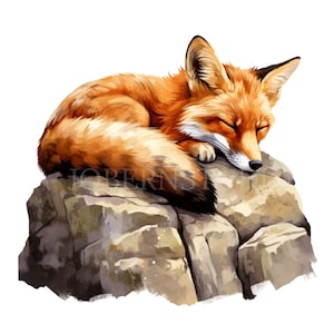 Renard Clipart PNG, lot de 15 PNG haute qualité, renard aquarelle en téléchargement numérique, autocollants imprimables, fabrication de cartes, création numérique en papier | 452