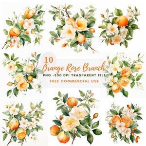 Pacchetto di clipart ghirlanda ramo rosa arancione 10 alta qualità, bordo fiore acquerello, download digitale, creazione di carte, artigianato in carta digitale/ 196