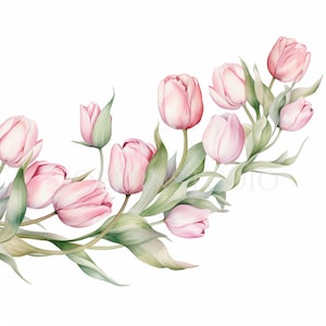 Pacchetto di clipart ghirlanda di fiori di tulipani 15 PNG di alta qualità, bordo floreale acquerello, download digitale, creazione di carte, artigianato in carta digitale/ 225