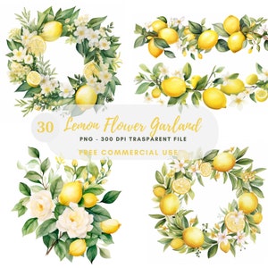 Pacchetto di clipart ghirlanda di rose di limone 30 PNG di alta qualità, bordo floreale acquerello, adesivo, download digitale, creazione di carte, artigianato in carta digitale/422