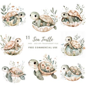 Tortue de mer Clipart PNG, lot de 11 PNG haute qualité, aquarelle tortue de mer pastel | Stickers imprimables en téléchargement numérique Goodnotes | 661