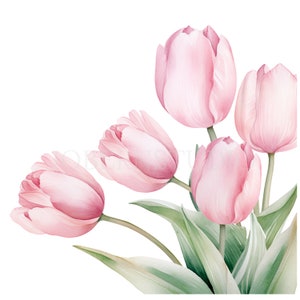 Tulips Flower Border Clipart Bundle 12 High Quality PNG, Watercolor Floral Garland, Digital Download,Card Making,Digital Paper Craft| 301