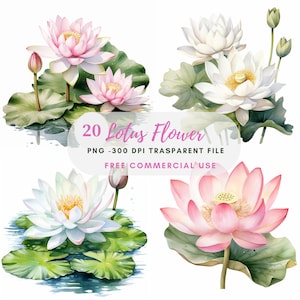 Pacchetto clipart fiore di loto 20 alta qualità, acquerello acqua floreale, adesivi digitali, download digitale, creazione di cartoline, artigianato con carta digitale/163
