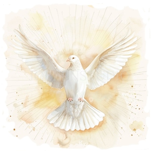 Holy Spirit Clipart Bundle 15 High Quality PNG,Watercolor Dove of  Pentecost,Printable Sticker,Digital Download,Card Making,Mixed Media| 271