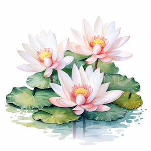 Pacchetto clipart fiore di loto 20 alta qualità, acquerello acqua floreale, adesivi digitali, download digitale, creazione di cartoline, artigianato con carta digitale/163