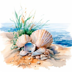 Sea Shell Clipart PNG, paquete 10 JPG de alta calidad, conchas de acuarela, pegatina, descarga digital, fabricación de tarjetas, medios mixtos, artesanía de papel digital / 353