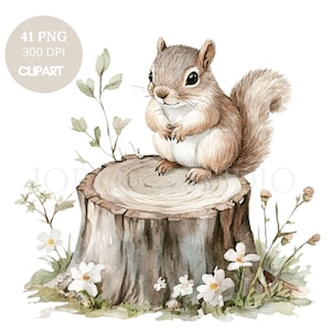 Clipart di animali del bosco ad acquerello / Pacchetto di 41 PNG di alta qualità / Adesivi stampabili di uccelli e lupi scoiattoli Goodnotes / Download digitale / 831