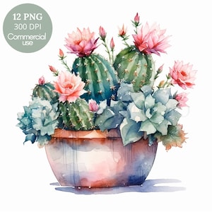 Paquete de imágenes prediseñadas de plantas de cactus 12 PNG de alta calidad, planta suculenta de acuarela, pegatinas digitales, fabricación de tarjetas, artesanía de papel digital/346