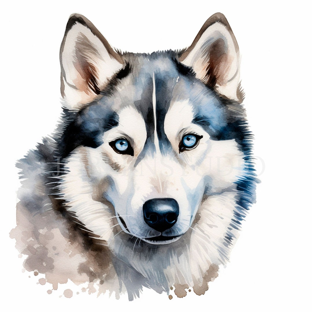Siberian Husky Baby Dog Clipart PNG Bundle 15 High Quality,digital