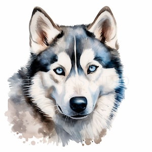 Siberian Husky Baby Dog Clipart PNG Bundle 15 Alta qualità, Download digitale, Adesivi stampabili, Creazione di cartoline, Supporti misti, Creazioni con la carta/428