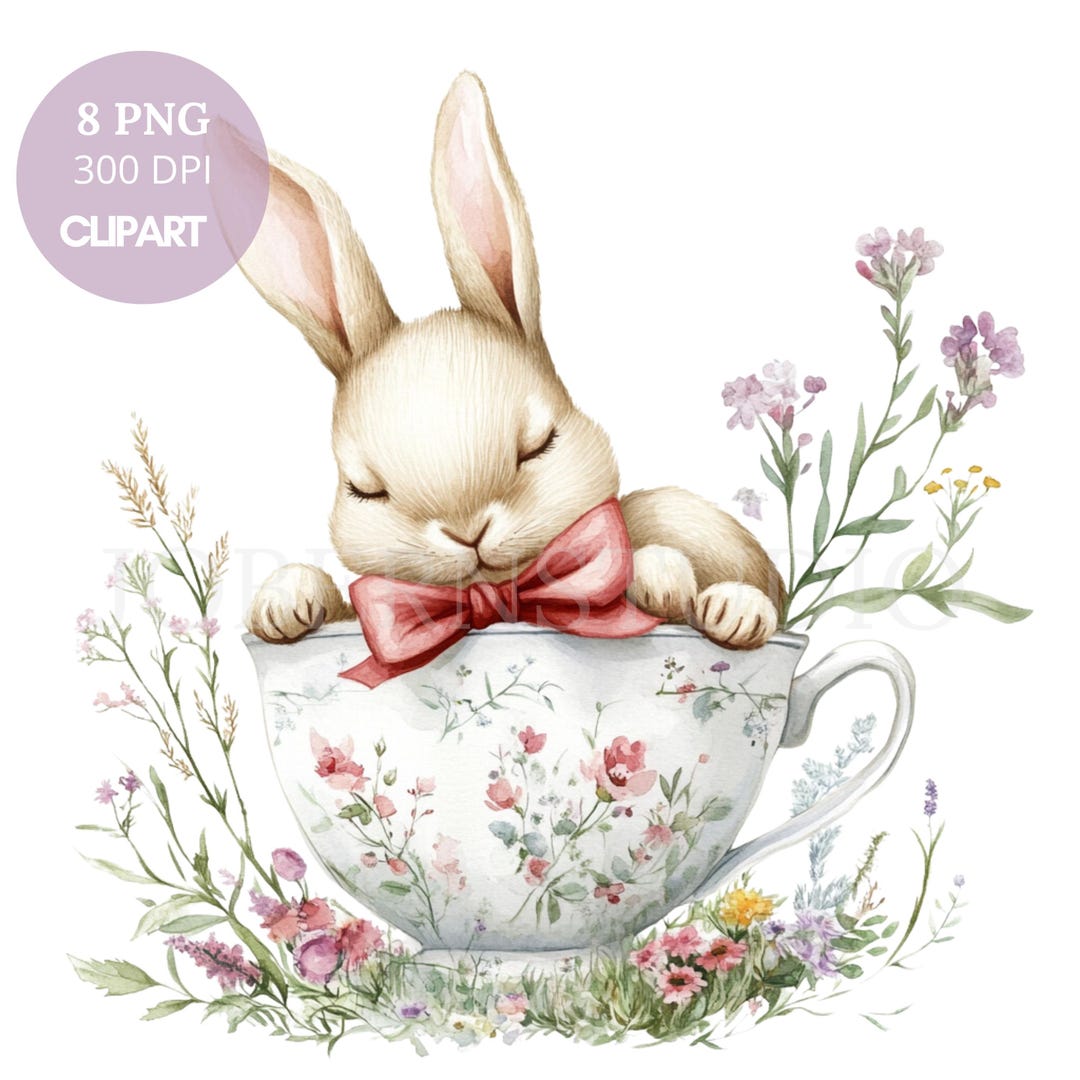 Bunny With Flower Clipart PNG Bundle 8 High Quality| Watercolor Rabbit ...