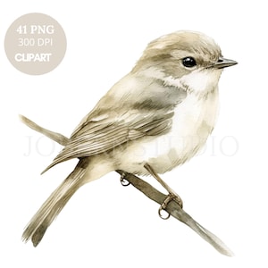 Aquarell Waldtiere Clipart | Bündel 41 hohe Qualität PNG | Wolf, Eichhörnchen Vogel druckbare Aufkleber Goodnotes | Digitaler Download | 831