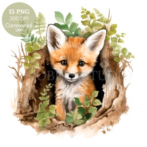 Baby Fox in Den Clipart PNG,Bundle 15 JPG de haute qualité, Téléchargement numérique, Autocollants, Fabrication de cartes, Médias mixtes, Artisanat en papier numérique| 78
