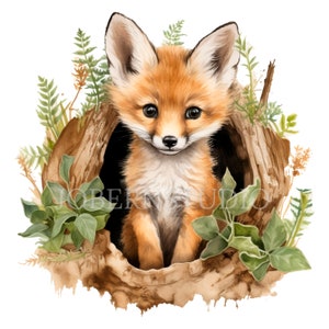 Baby Fox in Den Clipart PNG,Bundle 15 JPG de haute qualité, Téléchargement numérique, Autocollants, Fabrication de cartes, Médias mixtes, Artisanat en papier numérique| 78