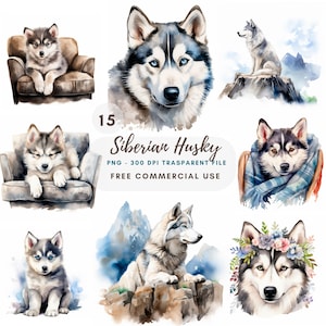 Siberian Husky bébé chien Clipart PNG Bundle 15 haute qualité, téléchargement numérique, autocollants imprimables, fabrication de cartes, techniques mixtes, créations en papier | 428