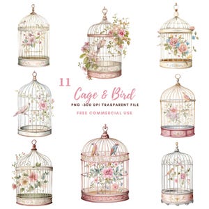 Cage et oiseau, cliparts PNG, 11 images PNG de haute qualité | Oiseau floral aquarelle | Stickers imprimables Goodnotes | Téléchargement numérique | 824