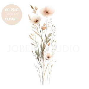Paquete de 60 imágenes prediseñadas de flores de amapola silvestre de alta calidad, PNG, acuarela beige, flores secas, pegatinas imprimibles, Goodnotes, descarga digital, 806